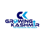 Untitled design (89)